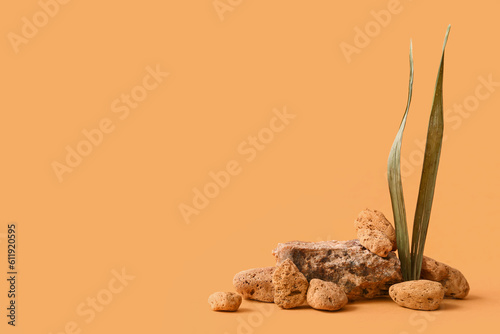Decorative stone podiums wi...
