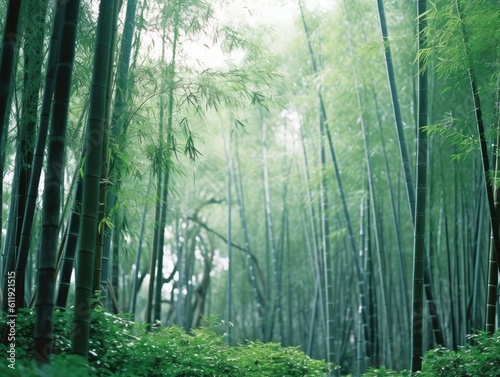 Serene Bamboo Whispers - AI Generated