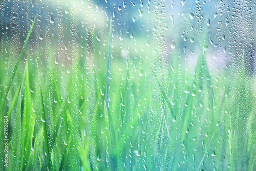 spring rain green, springtime wet abstract background