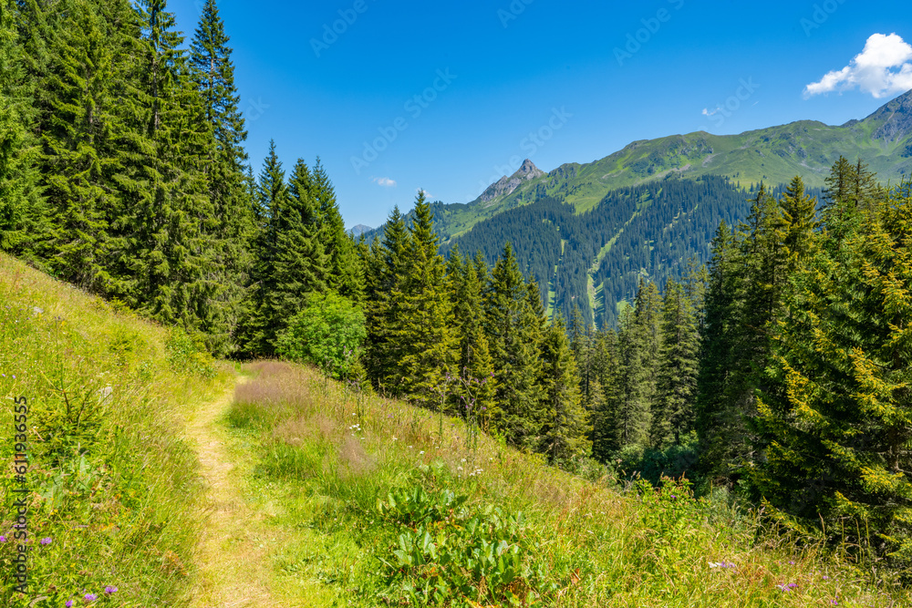 Path in the Gauertal, Tschagguns-Montafon, State of Vorarlberg, Austria