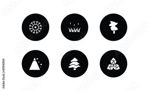 nature filled icons set. nature filled icons pack included knapweed, reed, sassafras tree, snowslide, balsam fir tree, bougainvillea vector.