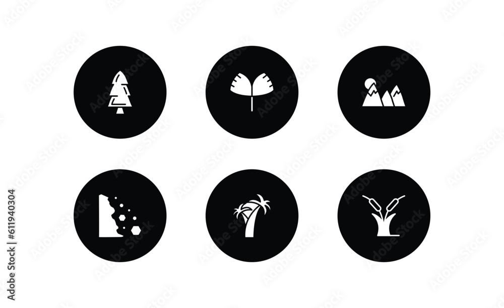 nature filled icons set. nature filled icons pack included spruce, ginkgo, mountain pse, falling debris, coconut tree standing, reed bed vector.
