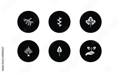 nature filled icons set. nature filled icons pack included black willow, larch leaf, reniform, yucca, birch leaf, treatments vector.