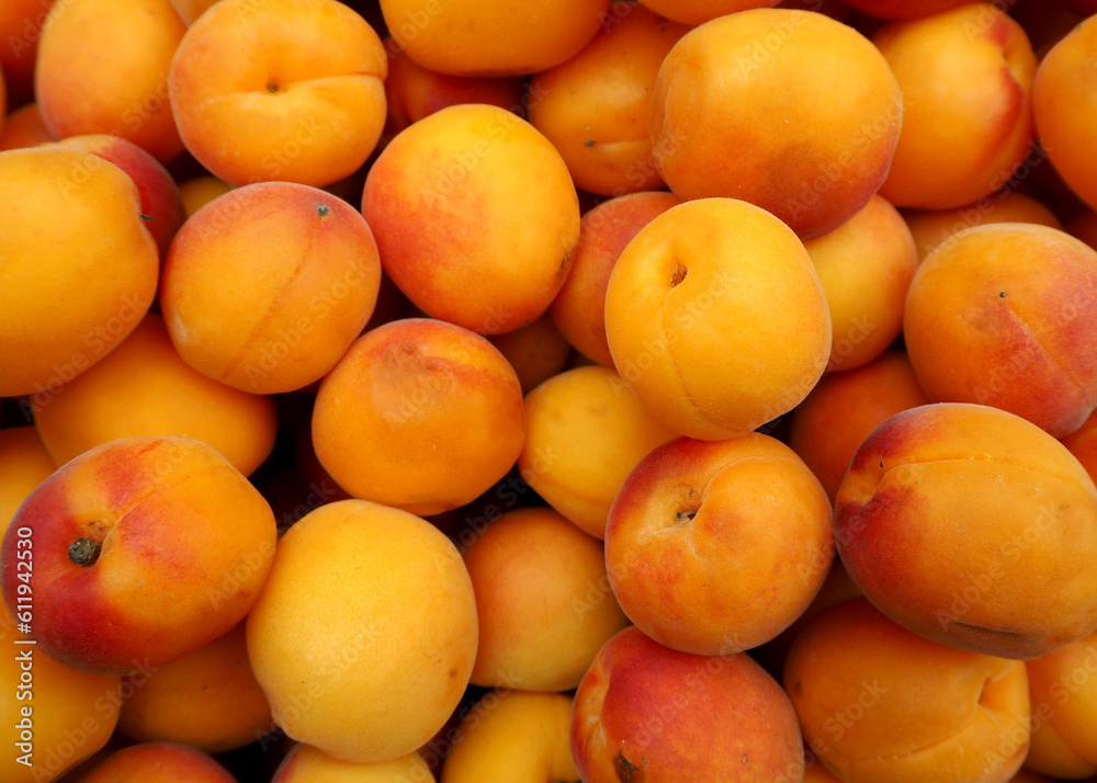 there are a lot of juicy yellow apricots nearby . fruits are antioxidants. supermarket market . summer fresh fruit . vegetarianism . vegan there are a lot of juicy yellow apricots nearby . fruits are antioxidants. supermarket market . summer fresh fruit . vegetarianism . vegan