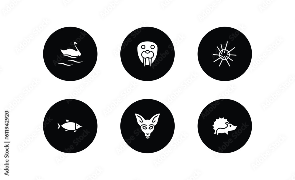 animals filled icons set. animals filled icons pack included swan, walrus, sea urchin, swordfish, kangaroo, hedgehog vector.