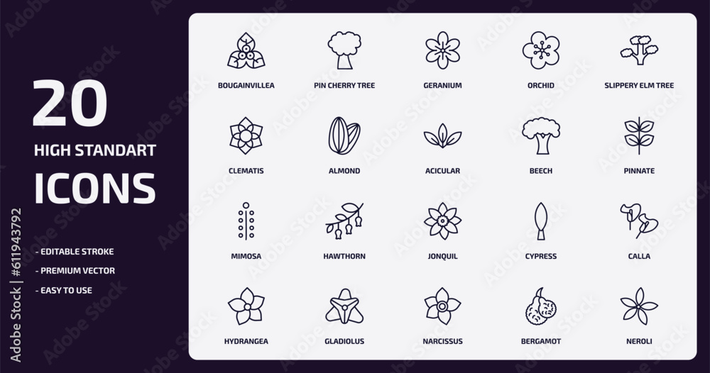 nature outline icons set. nature thin line icons pack such as bougainvillea, orchid, almond, mimosa, gladiolus, narcissus, bergamot, neroli vector.