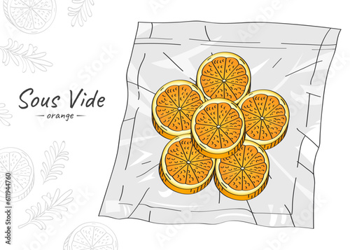 Vector hand drawn sketch illustration of orange slices. Sous-Vide Slow Cooking Technology.