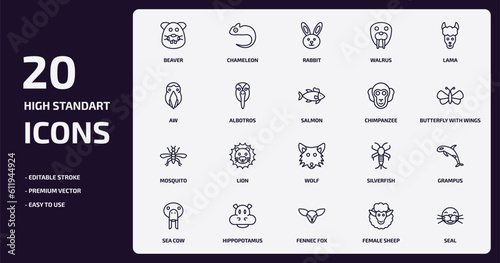 animals outline icons set. animals thin line icons pack such as beaver, walrus, albotros, mosquito, hippopotamus, fennec fox, female sheep, seal vector.
