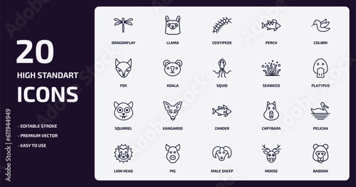 animals outline icons set. animals thin line icons pack such as dragonflay, perch, koala, squirrel, pig, male sheep, moose, baboon vector.