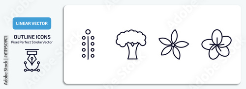 nature outline icons set. nature thin line icons pack included mimosa, beech, neroli, sakura vector.