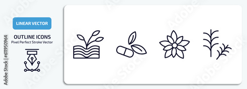 nature outline icons set. nature thin line icons pack included plant growing on book, natural medical pills, nymphea, rosemary vector.