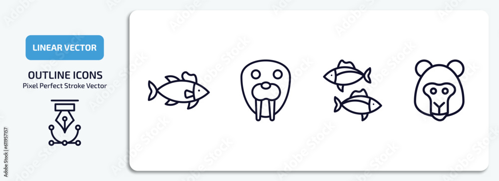animals outline icons set. animals thin line icons pack included salmon, walrus, tuna, baboon vector.