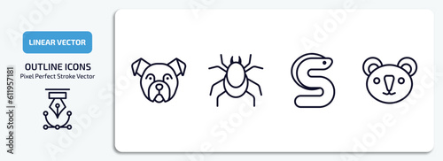 animals outline icons set. animals thin line icons pack included bulldog, mite, eel, koala vector.