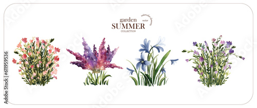 Botanical watercolor vector elements on white background