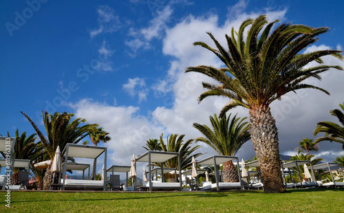 Luxury lounge bed in tropical resort of Tenerife,Canary Islands,Spain.Beach beds among palm trees.Summer vacation,relax or travel concept. Selective focus.