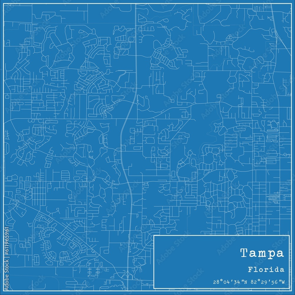 Blueprint US city map of Tampa, Florida. Blueprint US city map of Tampa, Florida.
