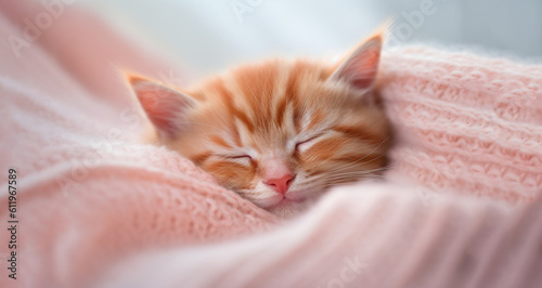 A cute red little kitten sleeps sweetly