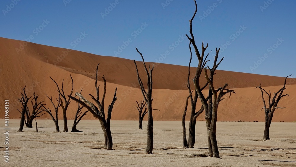 Sanddünen und abgestorbene Bäume in der Namibwüste in Namibia Sanddünen und abgestorbene Bäume in der Namibwüste in Namibia