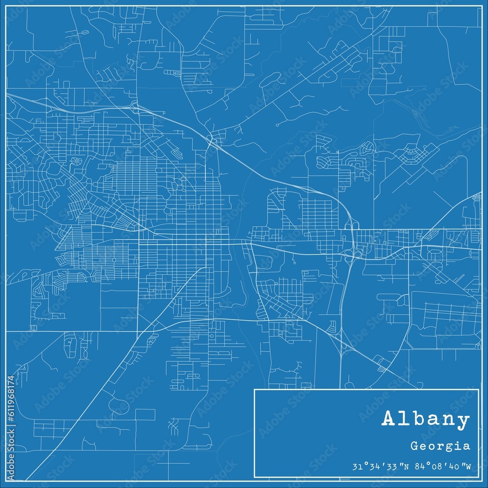 Blueprint US city map of Albany, Georgia. - obrazy, fototapety, plakaty 