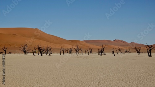 Sandd  nen und abgestorbene B  ume in der Namibw  ste in Namibia
