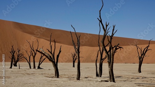 Sanddünen und abgestorbene Bäume in der Namibwüste in Namibia