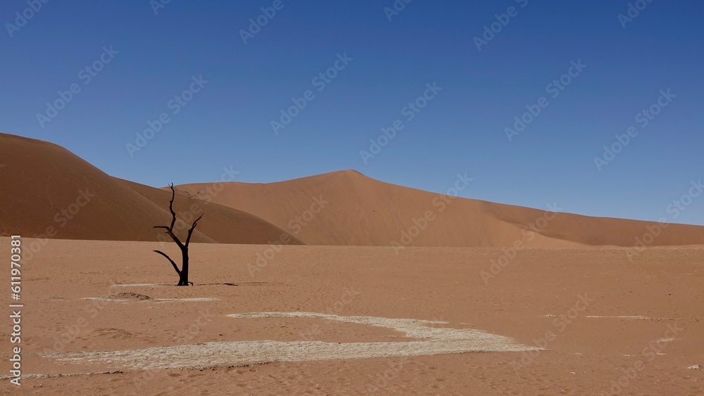 Sanddünen und abgestorbene Bäume in der Namibwüste in Namibia