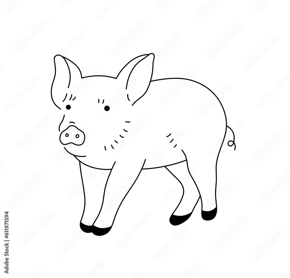 Vector isolated one single cute cartoon little piglet colorless black and white contour line easy drawing Vector isolated one single cute cartoon little piglet colorless black and white contour line easy drawing