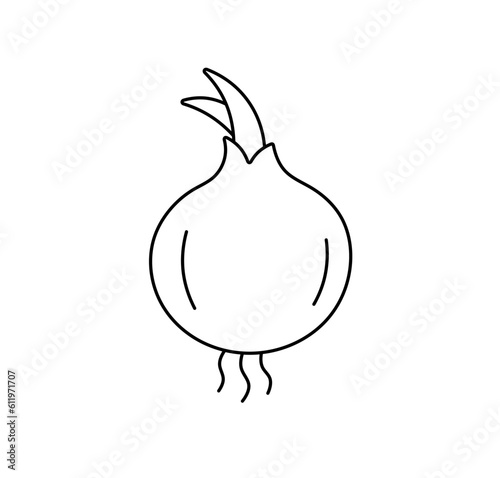 Vector isolated one single simplest onion vegetable with greens colorless black and white contour line easy drawing