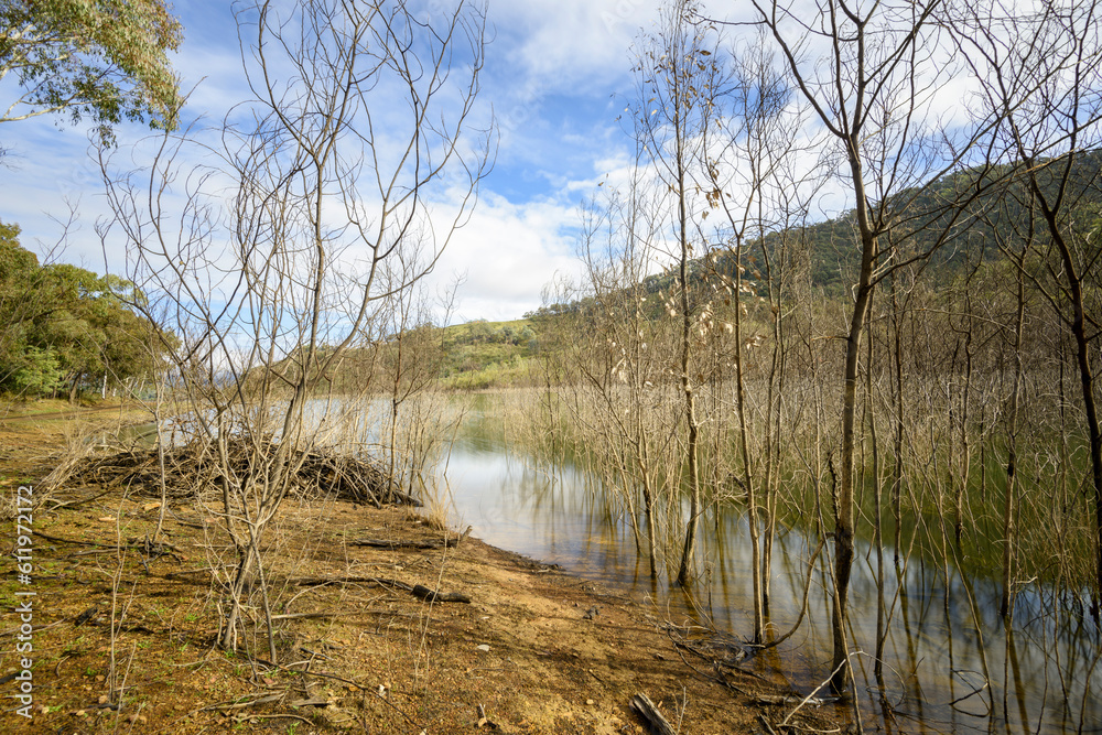 Macs Cove, Lake Eildon, Mansfield, Victoria, Australia Macs Cove, Lake Eildon, Mansfield, Victoria, Australia