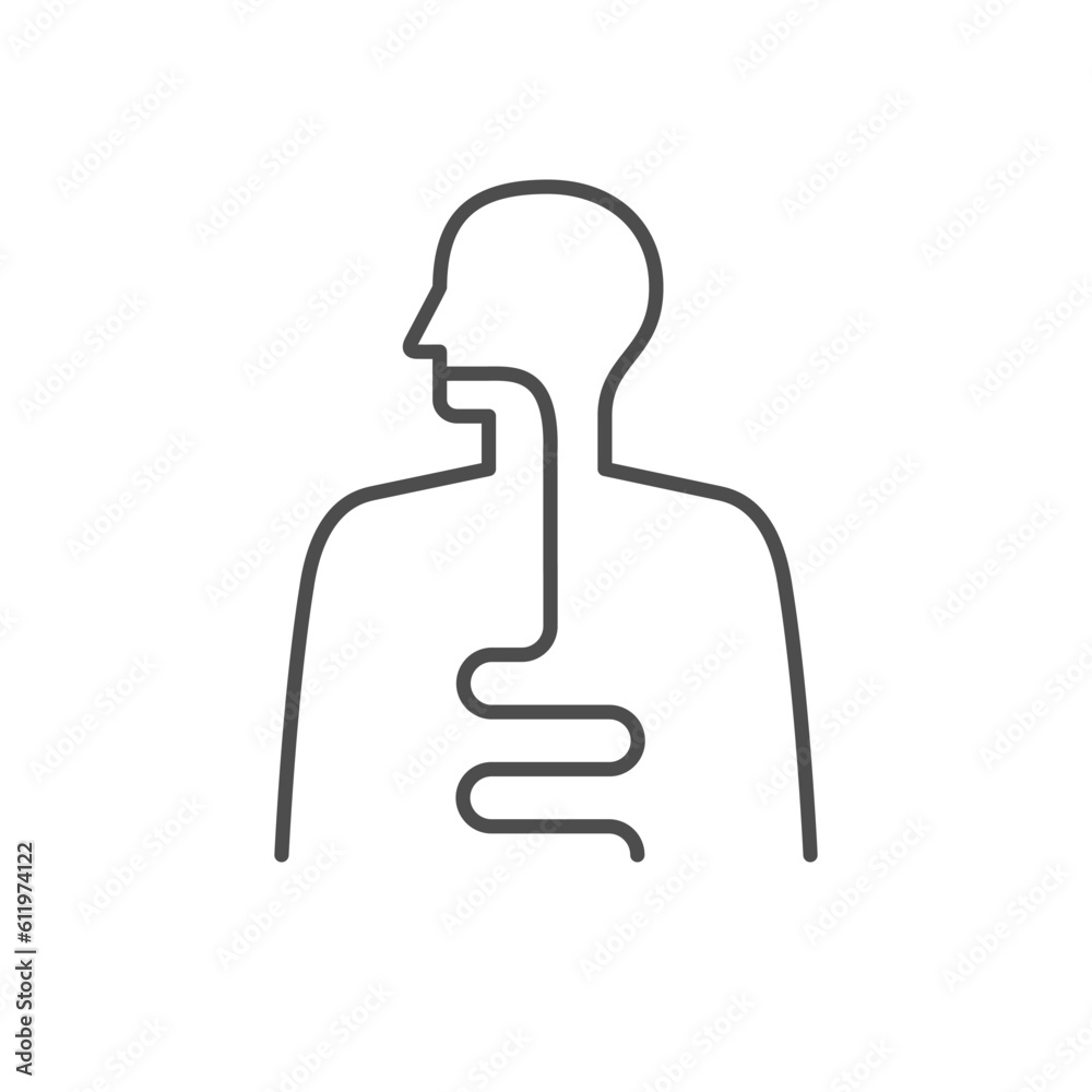 Digestive system line outline icon Digestive system line outline icon