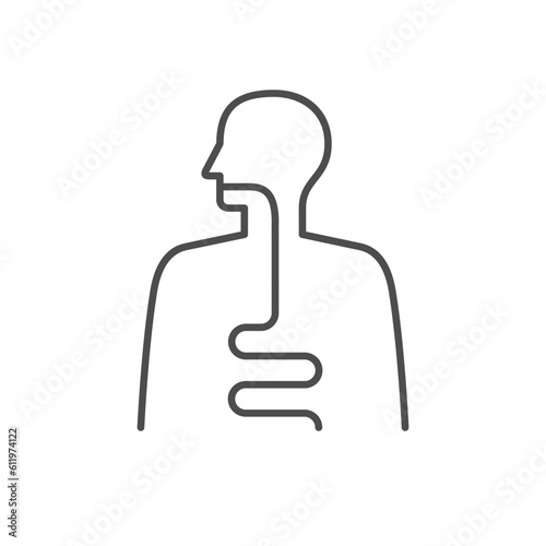 Digestive system line outline icon