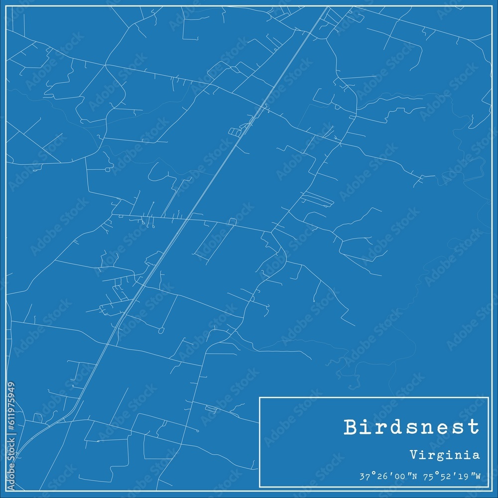 Blueprint US city map of Birdsnest, Virginia.