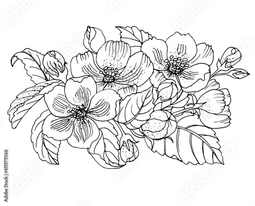 vector coloring page with flower, line art