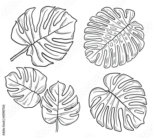  tropical leaves. vector hand drawn illustration