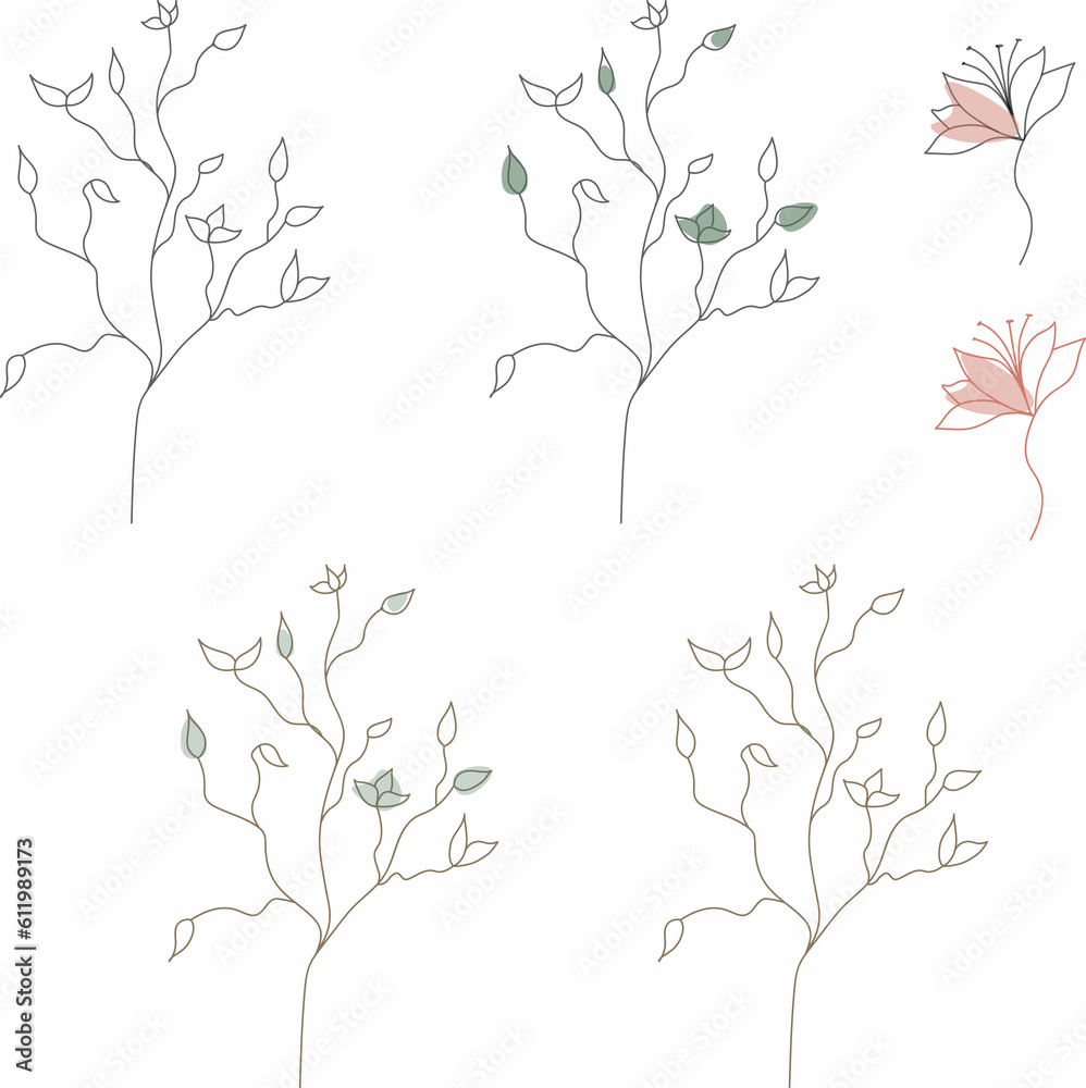 leaves of different plants drawn with lines