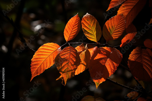 Orange maple leaves generative AI