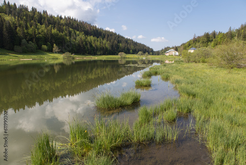 Le lac de Lamoura est le lac le plus élevé du Jura français. Situé au pied de la forêt du Massacre, dans un écrin de nature préservé, le lac de Lamoura présente une flore exceptionnelle