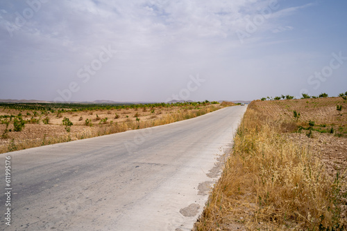 Desolate road and clouds between yellow fields