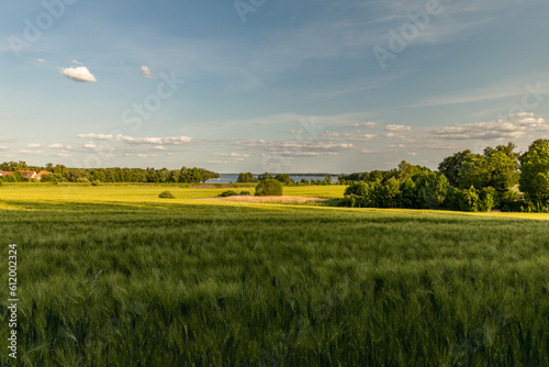 Fototapeta Naklejka Na Ścianę i Meble -  Mazury w słoneczny dzień. Mazurski krajobraz.