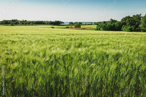 Fototapeta Naklejka Na Ścianę i Meble -  Mazury w słoneczny dzień. Mazurski krajobraz.