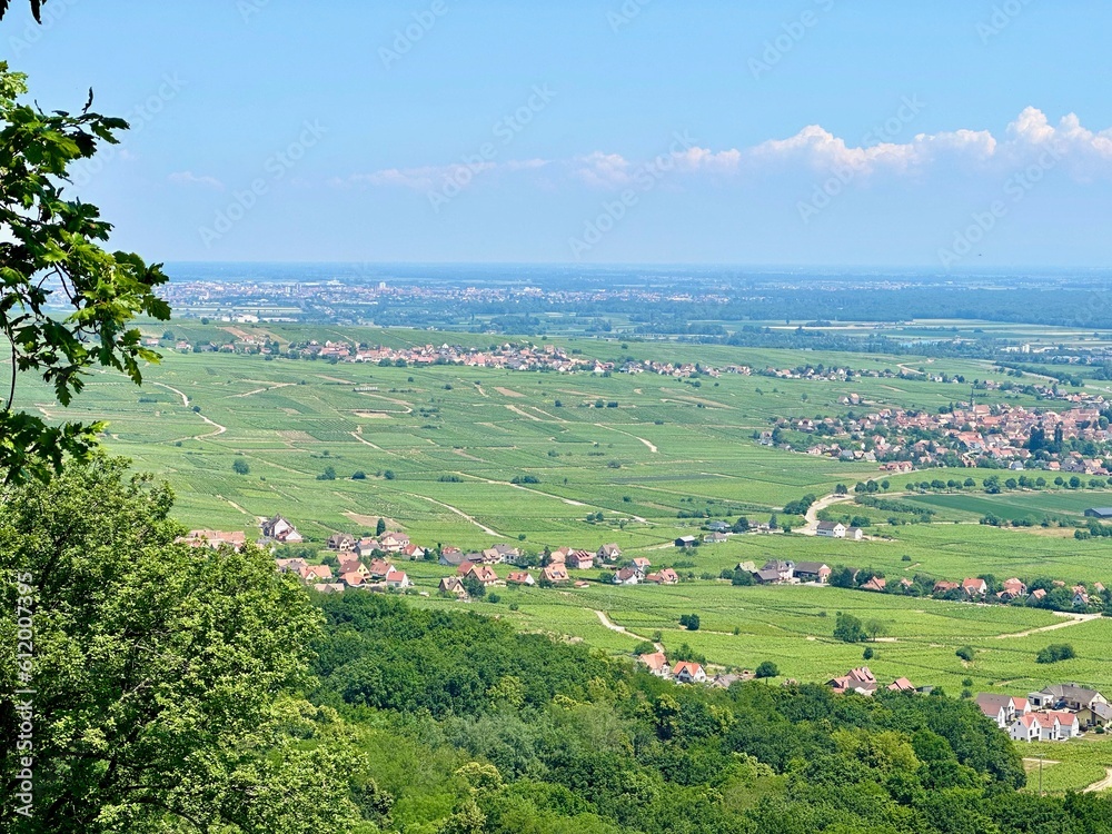 Idyllic Harmony: A Bird's-Eye View of the Tranquil Villages of Obermorschwihr, Hattstatt, and Gueberschwihr Nestled Amidst the Verdant Vineyards of Schauenberg, Pfaffenheim, Alsace, France