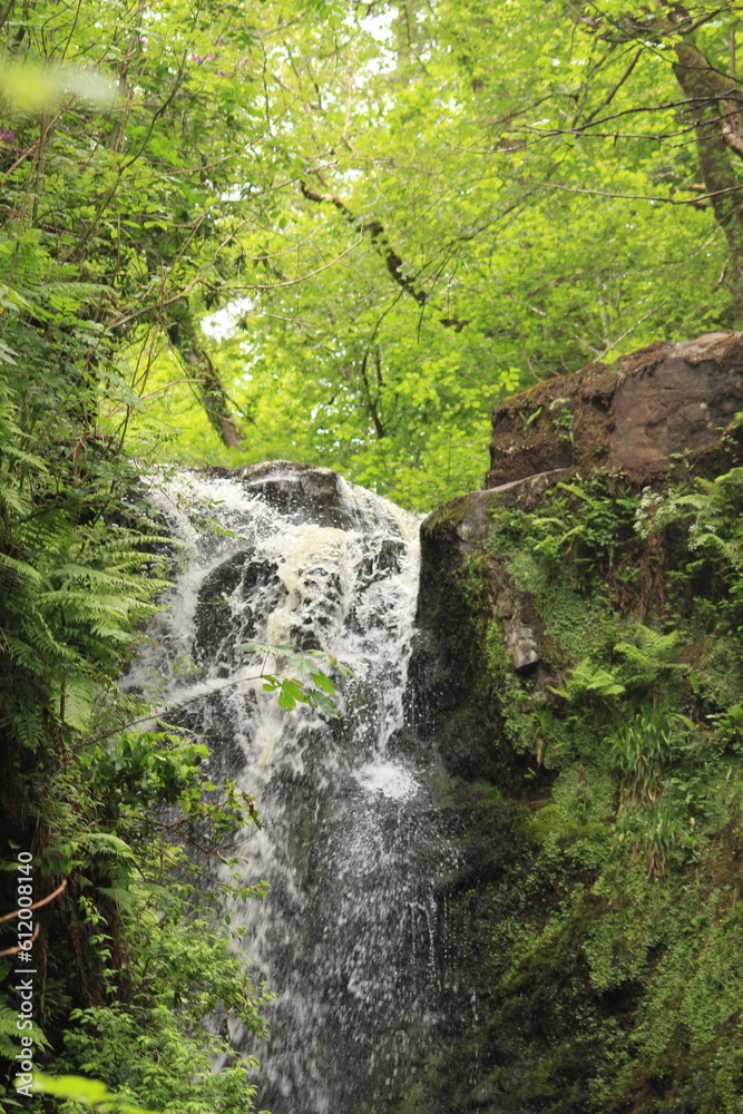 waterfall in the forest