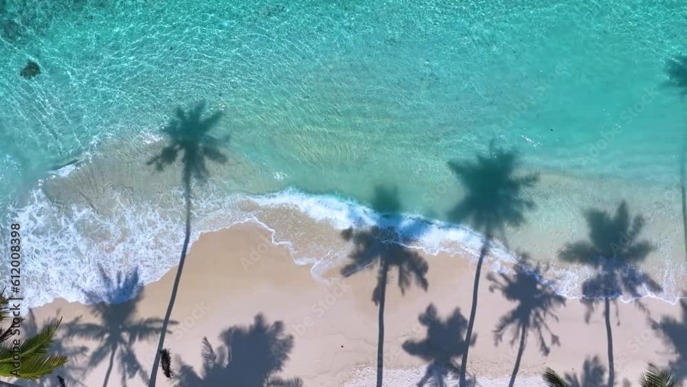 The shadow of summer palm tree and Tropical beach with blue of seashore background	