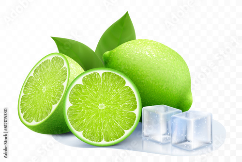 Fresh lime with ice cubes. Composition of elements lime with leaves, half lime, sliced lime, puddle water. 3D realistic vector illustration isolated on transparent background
