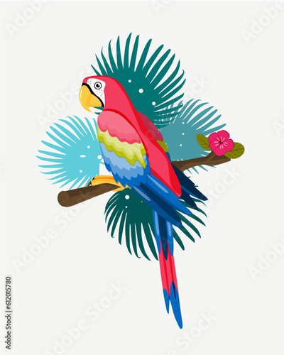 Parrot ara exotical bird, bird on branch