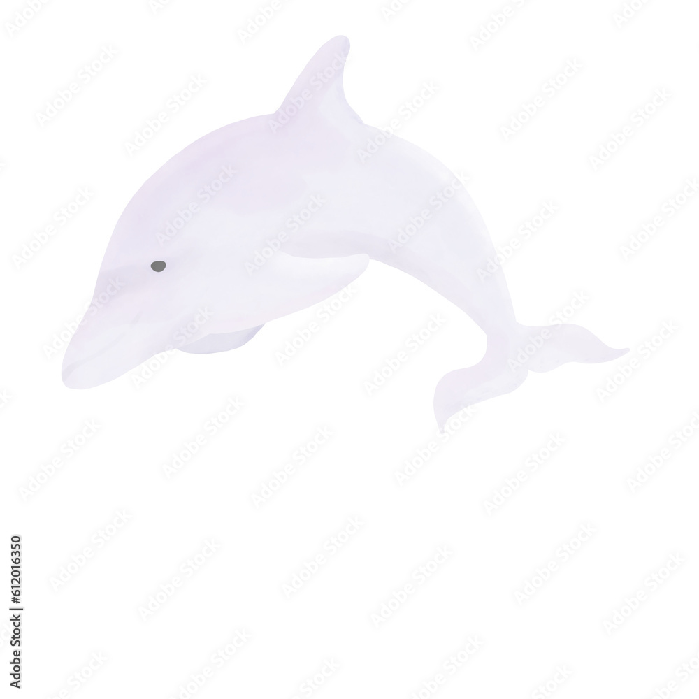 Obraz premium Dolphin5