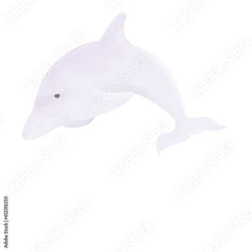 Dolphin5