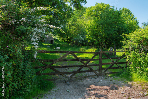 A Ram at the Gate.