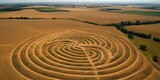 Top View of Crop Circles -ai generated