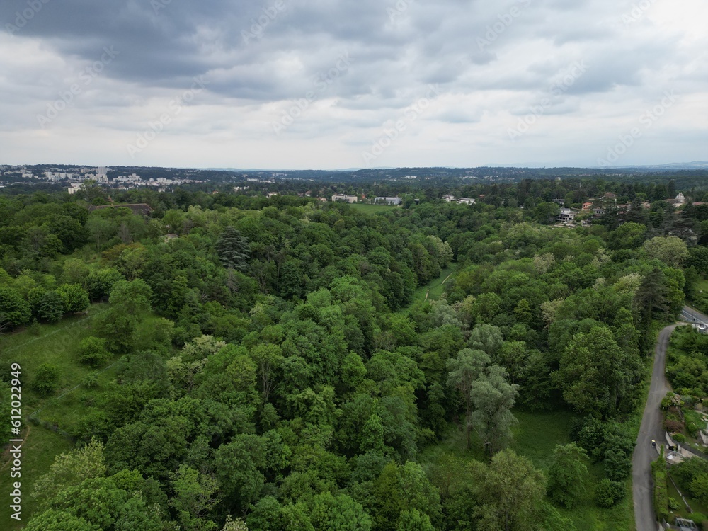 Aerial photography of the forest outside Lyon, France